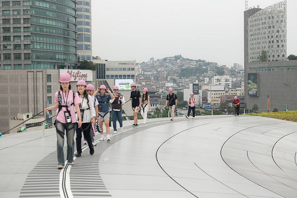 브로콜리 지역정보 관련 사진 2