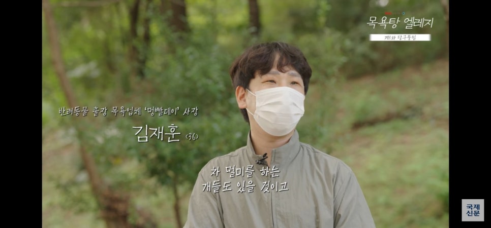 대형견 출장 미용 & 목욕, 멍빨DAY로 스트레스 없이! — 사진 4