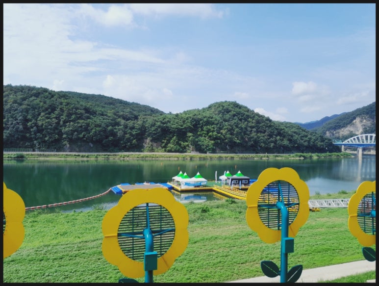 흑마늘황기명태 이미지