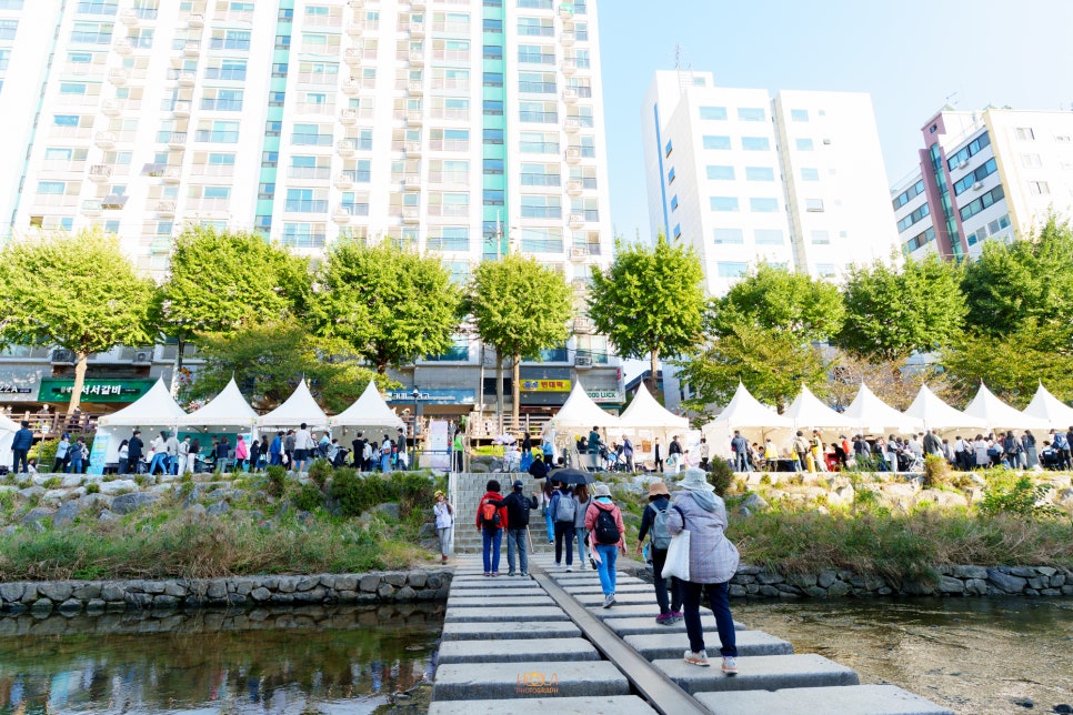 브로콜리 지역정보 관련 사진 4