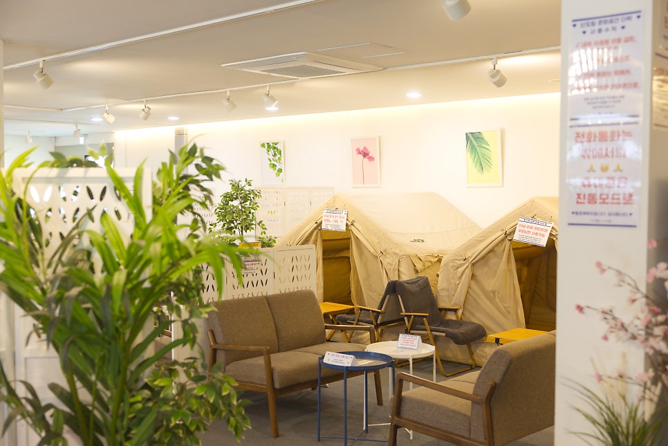 브로콜리 지역정보 관련 사진 16