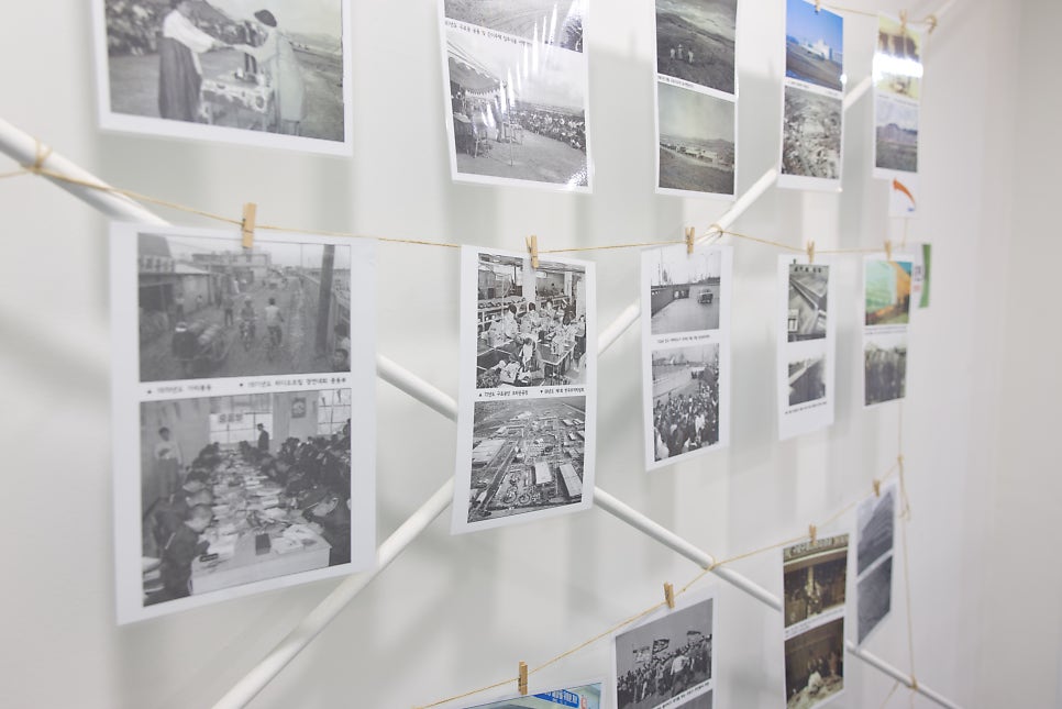 브로콜리 지역정보 관련 사진 18