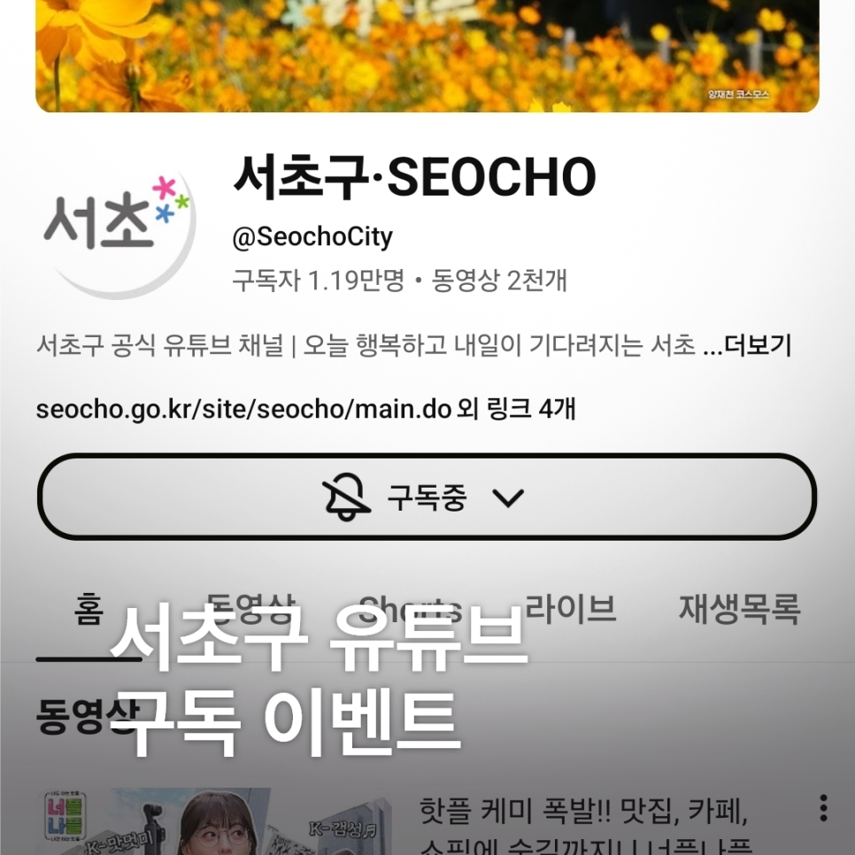 브로콜리 지역정보 관련 사진 1