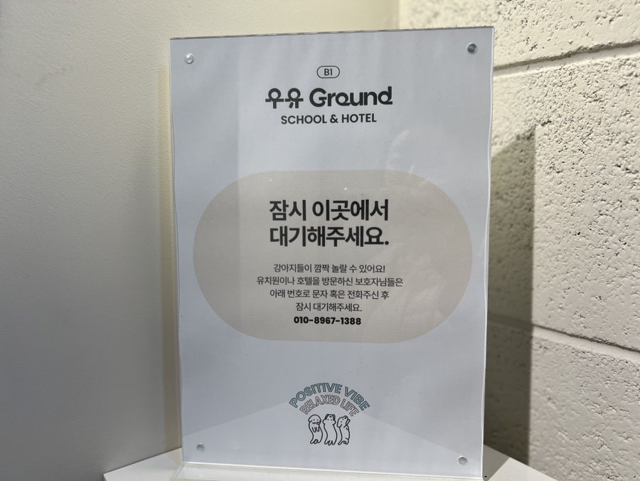 우유 강아지 유치원: 서초 애견호텔 & 데이케어 비용 — 사진 8