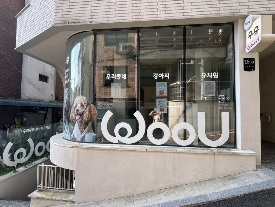 우유 강아지 유치원: 서초 애견호텔 & 데이케어 비용 — 사진 4