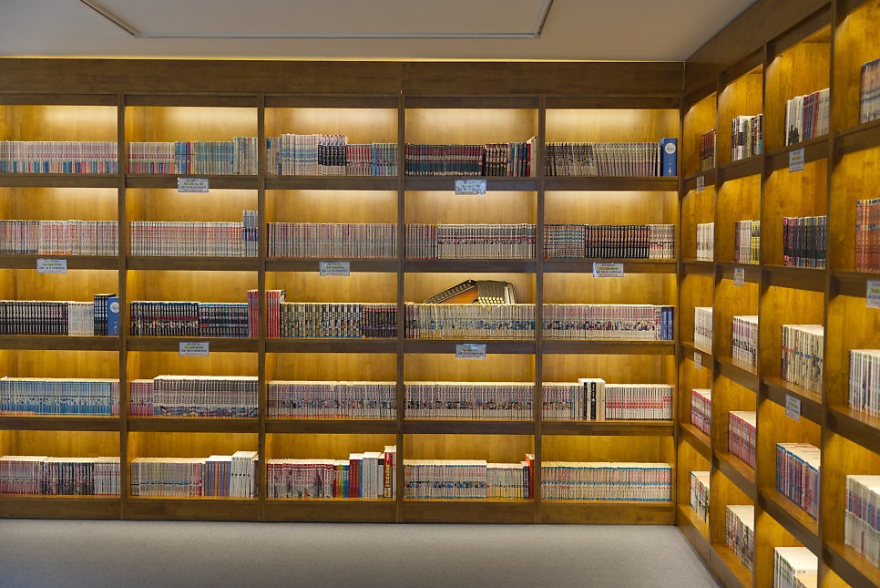 브로콜리 지역정보 관련 사진 9