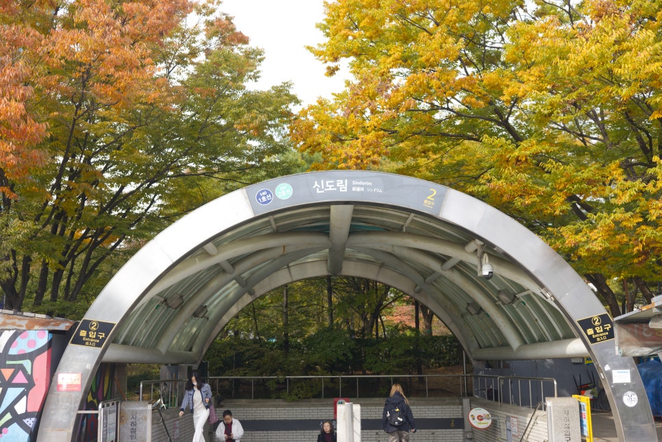 브로콜리 지역정보 관련 사진 2