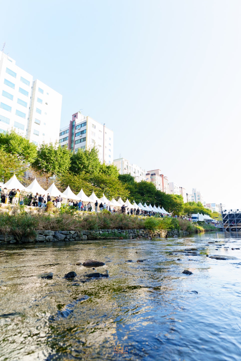 브로콜리 지역정보 관련 사진 5