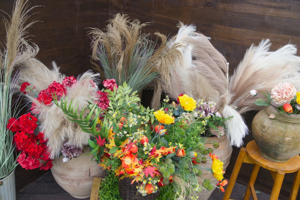 브로콜리 지역정보 관련 사진 7