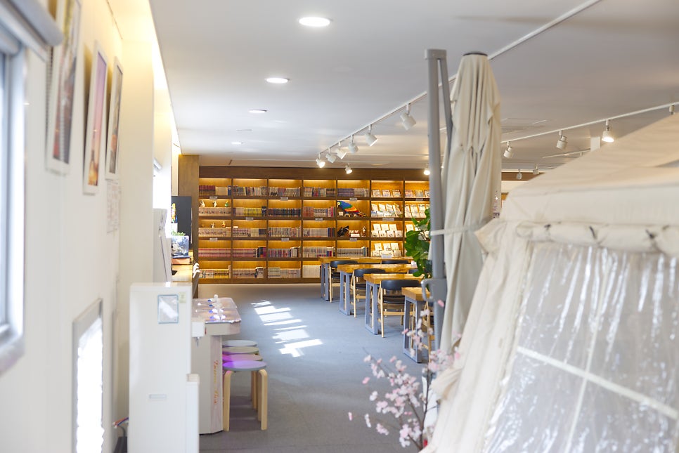 브로콜리 지역정보 관련 사진 19