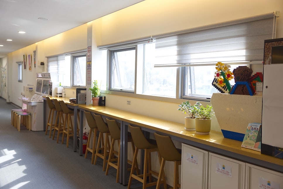 브로콜리 지역정보 관련 사진 11