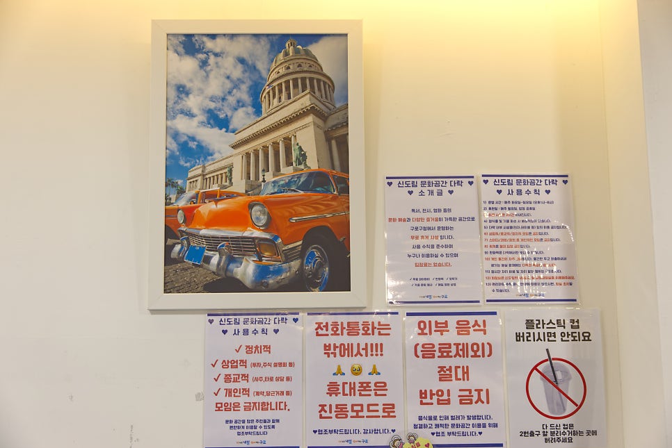 브로콜리 지역정보 관련 사진 14