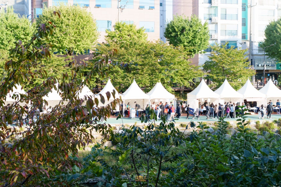 브로콜리 지역정보 관련 사진 2