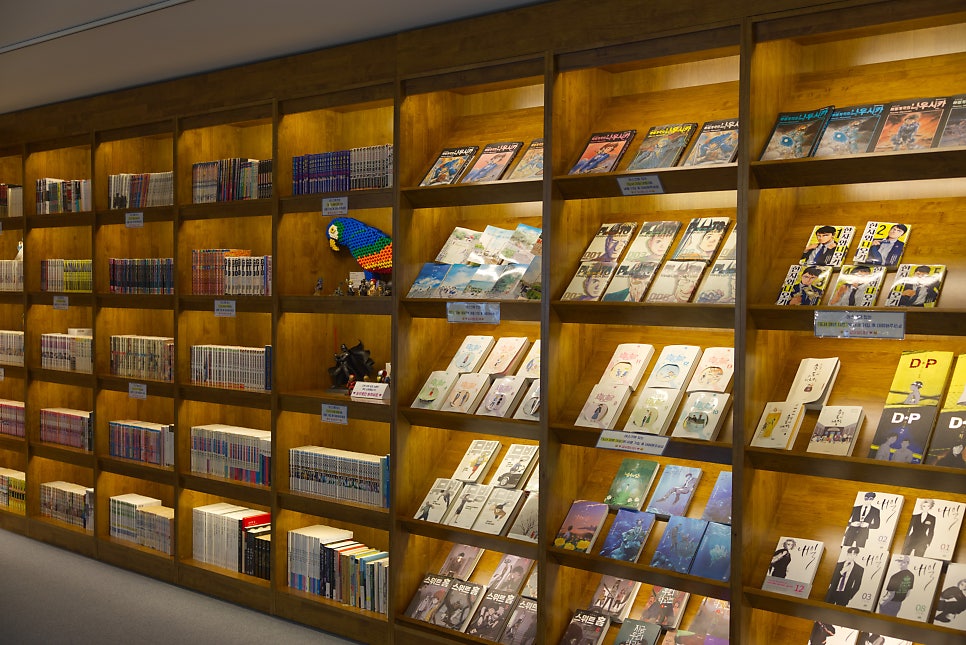 브로콜리 지역정보 관련 사진 8