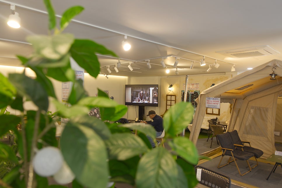 브로콜리 지역정보 관련 사진 20