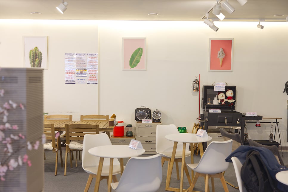 브로콜리 지역정보 관련 사진 15