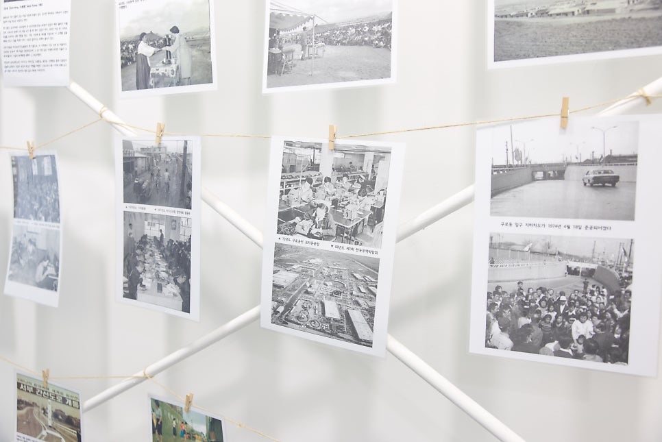 브로콜리 지역정보 관련 사진 17