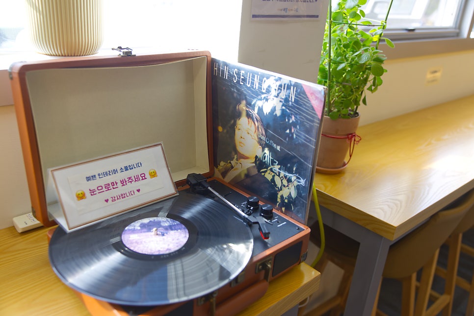 브로콜리 지역정보 관련 사진 12