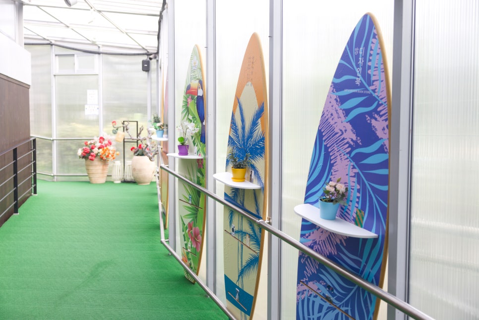 브로콜리 지역정보 관련 사진 6