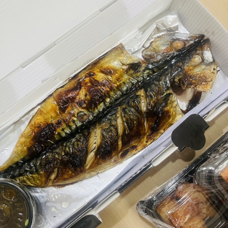 털보고된이 사진 8
