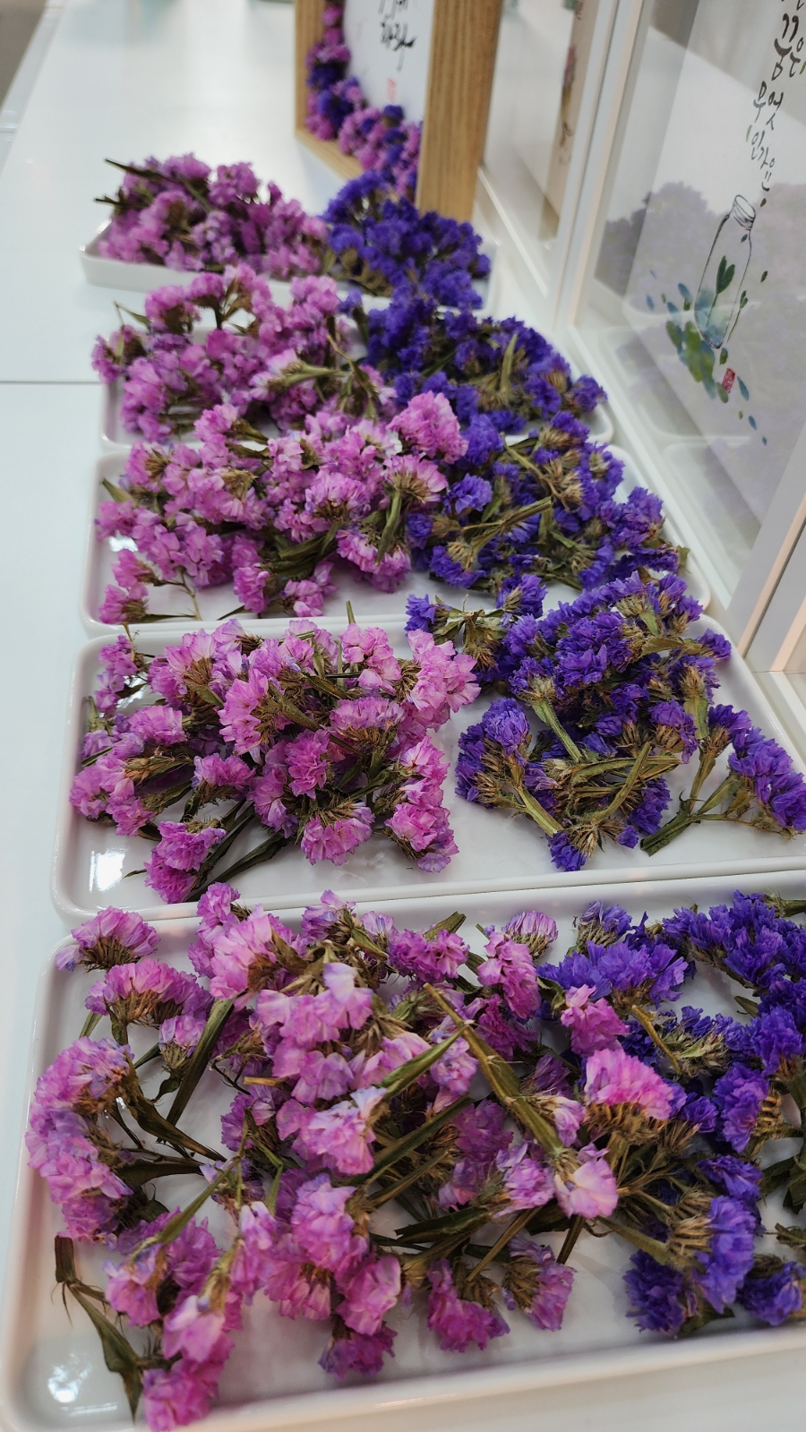동탄 드라이플라워 액자 캘리그라피 원데이 클래스 후기 — 사진 1