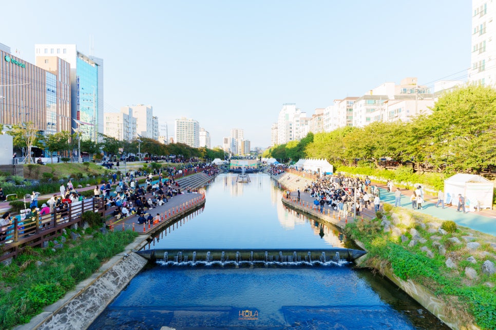 브로콜리 지역정보 관련 사진 3