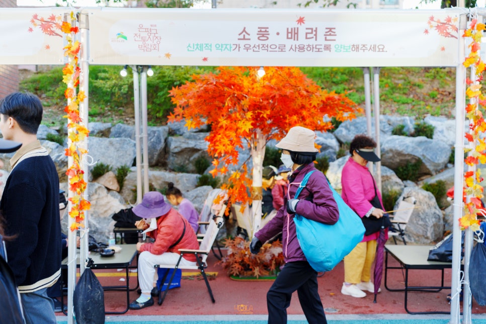 브로콜리 지역정보 관련 사진 15