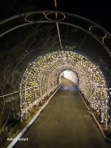 청강쏘가리 이미지