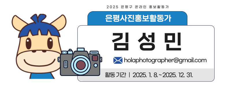 브로콜리 지역정보 관련 사진 18