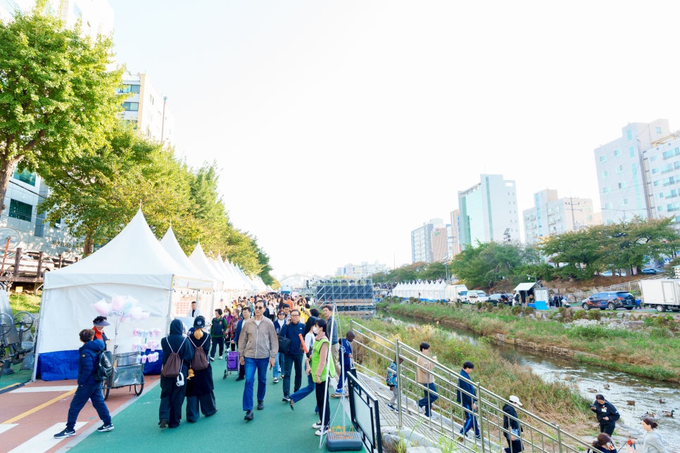 브로콜리 지역정보 관련 사진 16