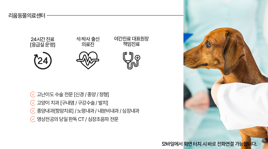 강아지 부신종양 CT 수술 후기 및 비용 안내 — 사진 12