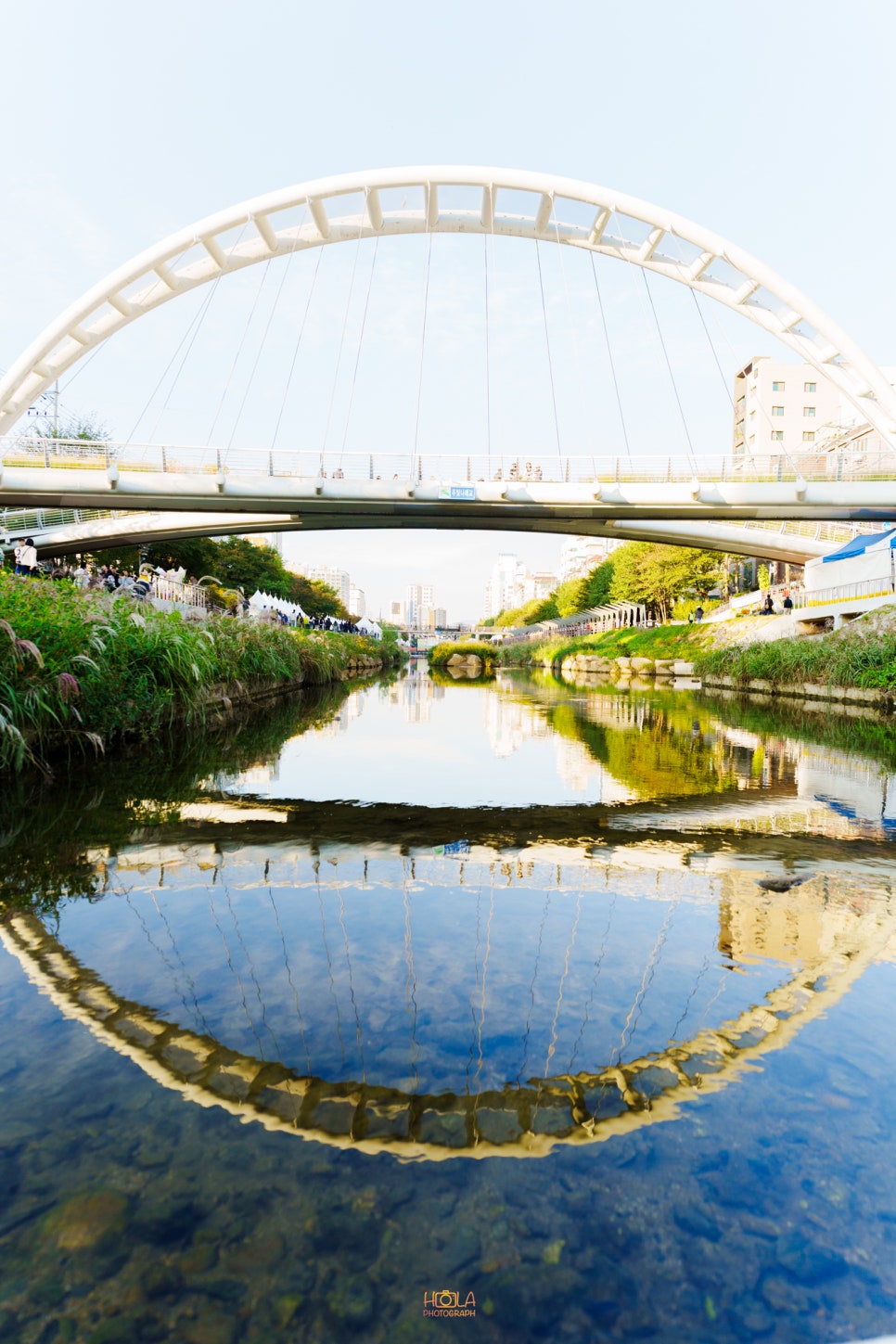 브로콜리 지역정보 관련 사진 17