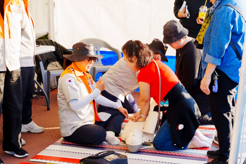 브로콜리 지역정보 관련 사진 11