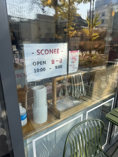 스코니 사진 5