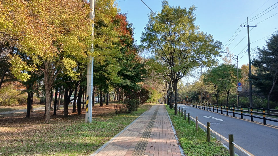 삼성 갤럭시 A17 LTE, 가격은 낮추고 완성도는 높이고… 진짜 ‘합리적인 실속형 스마트폰' 이미지 8