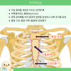 복장뼈 흉골 Sternum 위치 통증 원인 골절 구분법 : 네이버 블로그