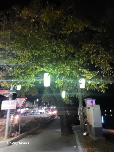 청강쏘가리 이미지