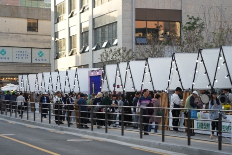 브로콜리 지역정보 관련 사진 11