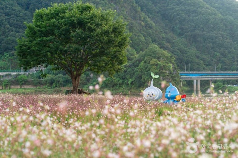 도담정원 이미지