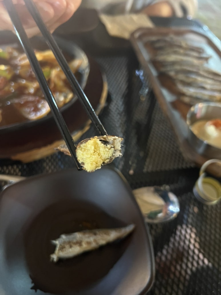 오렌지코끼리 사진 6
