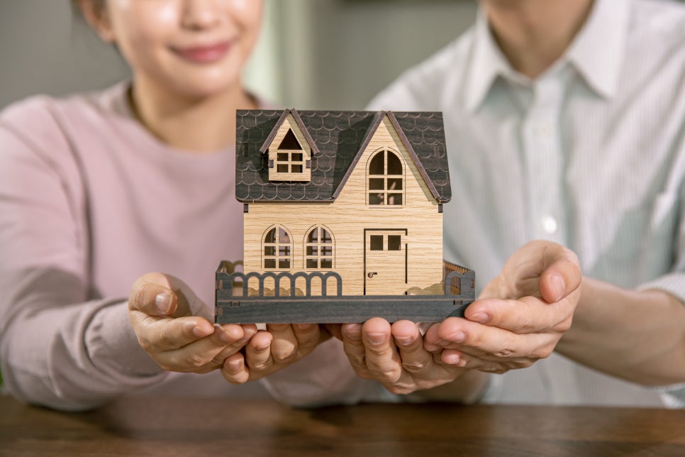 브로콜리 지역정보 관련 사진 3