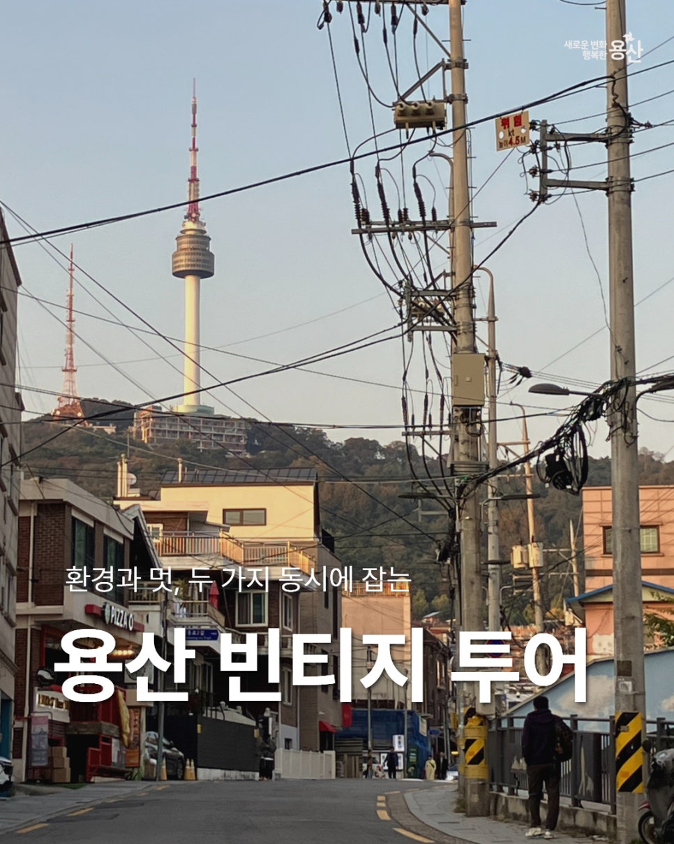 브로콜리 지역정보 관련 사진 1