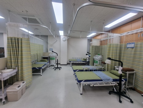 브로콜리 지역정보 관련 사진 4