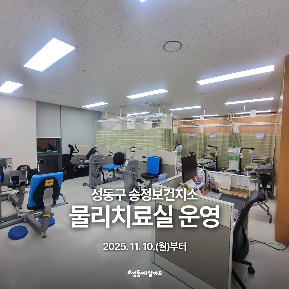 브로콜리 지역정보 관련 사진 1