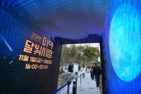 브로콜리 지역정보 관련 사진 17