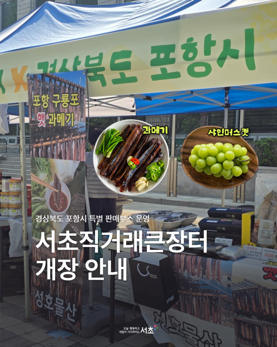 브로콜리 지역정보 관련 사진 1