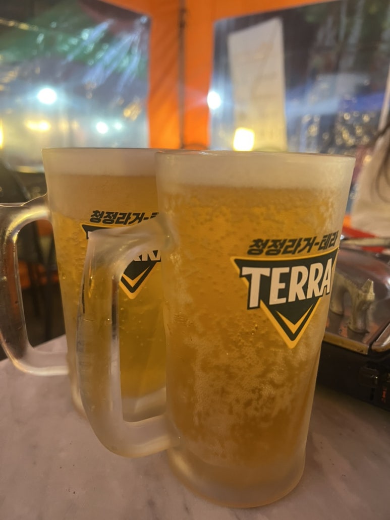 오렌지코끼리 사진 7