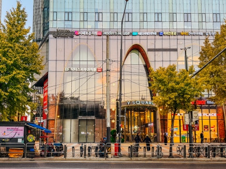 브로콜리 지역정보 관련 사진 4