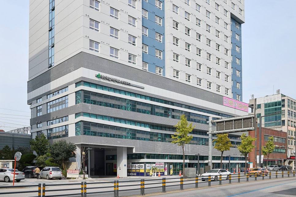 브로콜리 지역정보 관련 사진 2