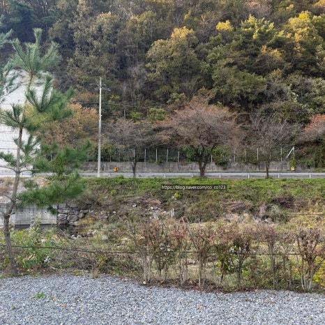 단양S펜션 이미지